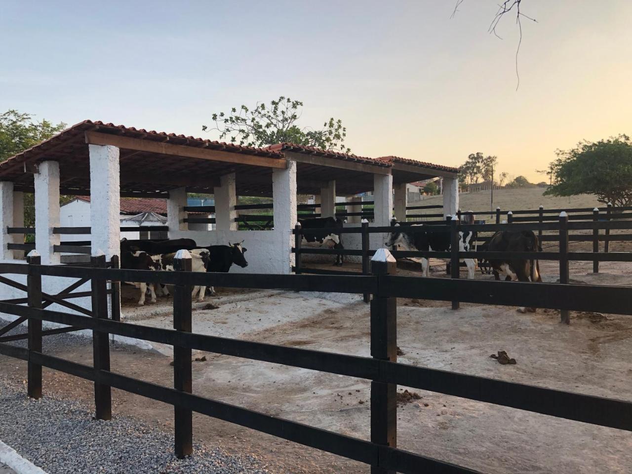 Flat 301 Villa Hipica Resort - Gravatá, PE Esterno foto
