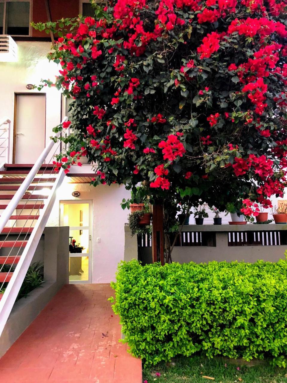 Flat 301 Villa Hipica Resort - Gravatá, PE Esterno foto